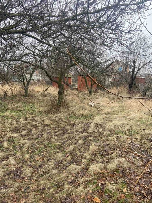 Дачні ділянки Ювілейний - 4