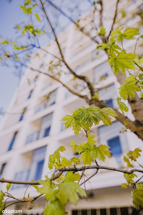 2-pokojowe mieszkanie 45m2 + balkon