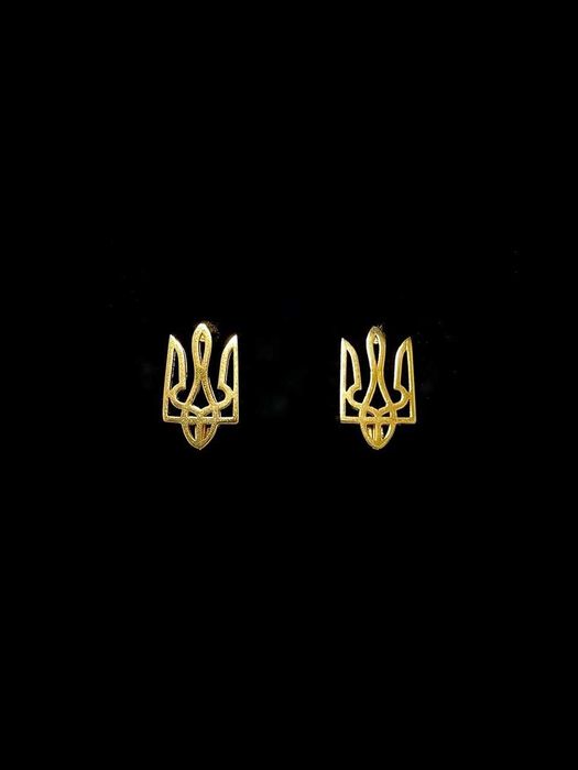 Золотые серьги/Золоті сережки