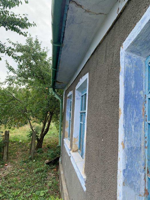 Продам будинок в Демшині з ділянкою