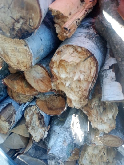 Próchno do dymienia pszczół, wierzbowe.  Cena za kilogram