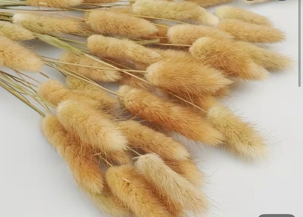 Сушений букет 60 штук