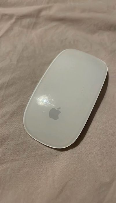 Rato Apple com algumas marcas fe uso