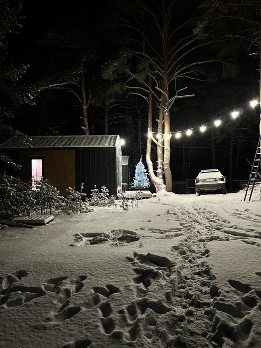 Здам будиночок в лісі біля Киівського моря