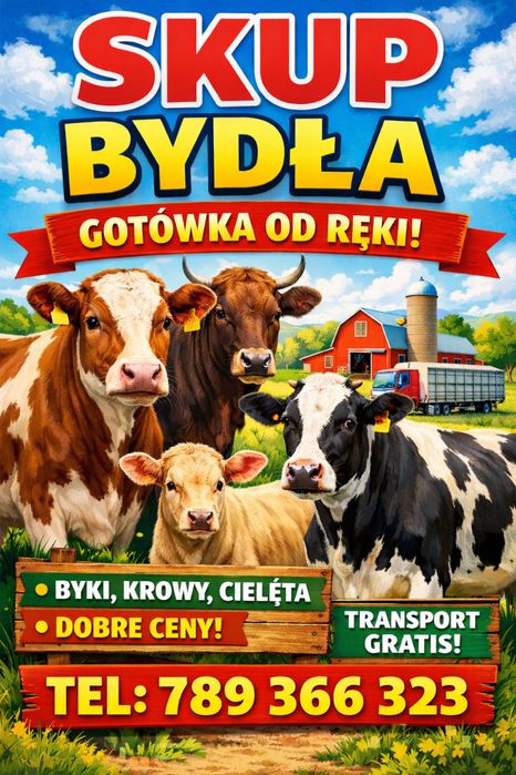 Skup bydla rzeźnego