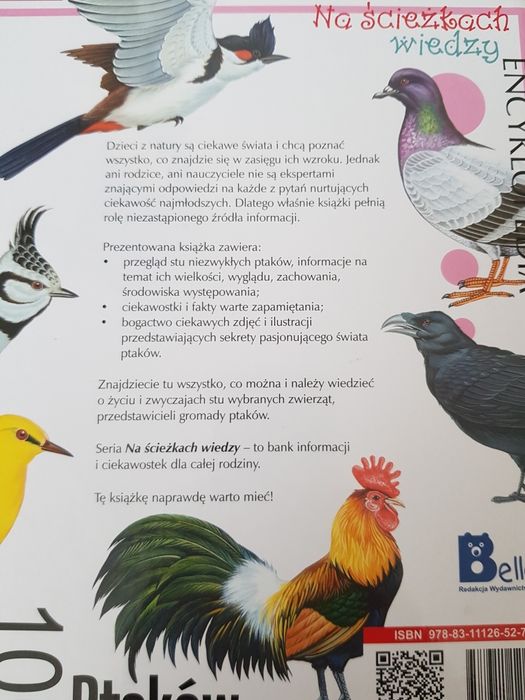Encyklopedia na ścieżkach wiedzy 100 bezkręgowców, kwiatów, ptaków