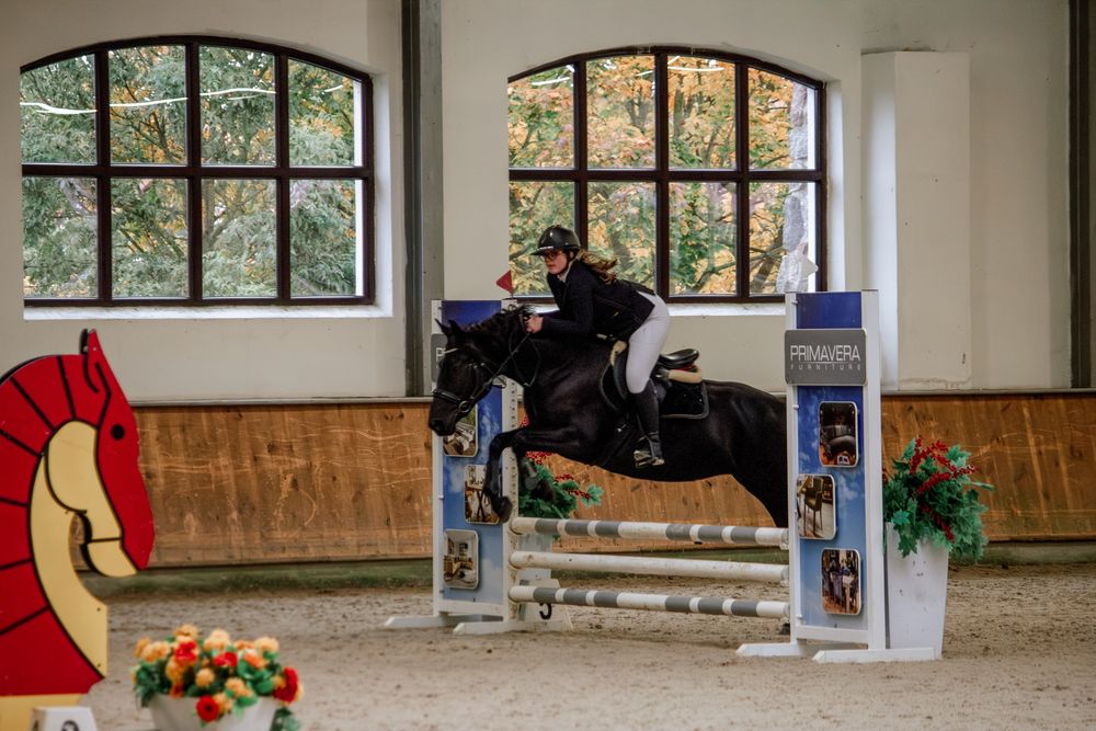 Notaris szuka nowego kochajacego domu