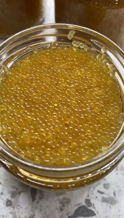 Ікра Дніпровської щуки