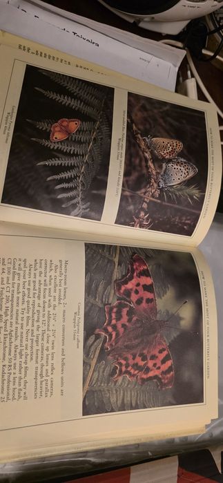 Livro sobre Borboletas e Jardim