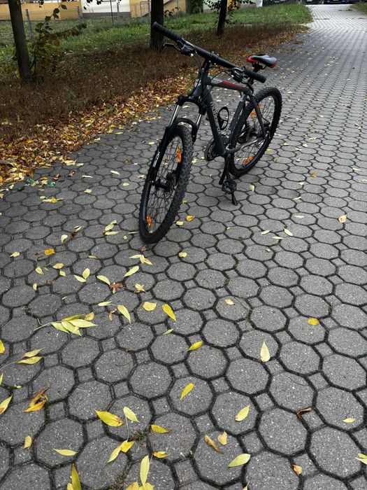 Rower gorski MTB