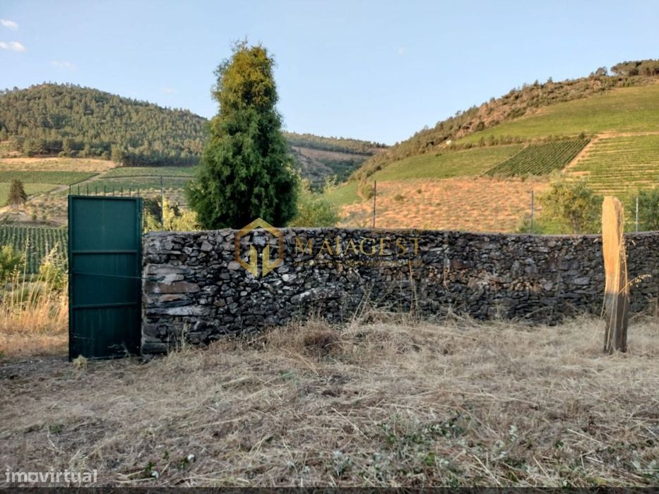 Terreno Agrícola para produção de Vinho