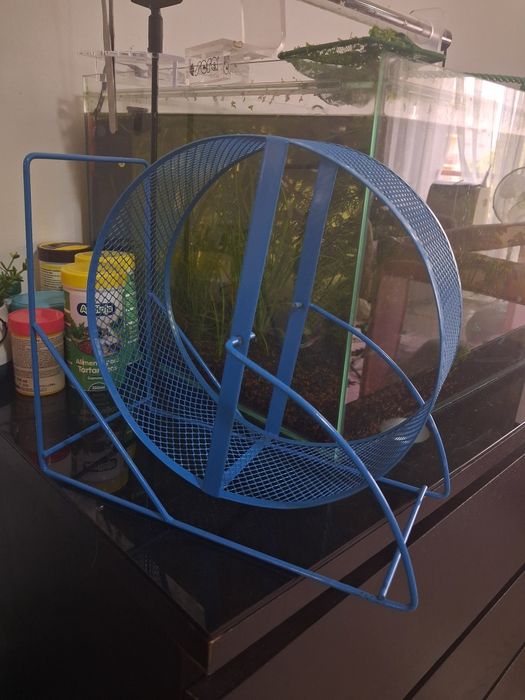 Roda para hamster