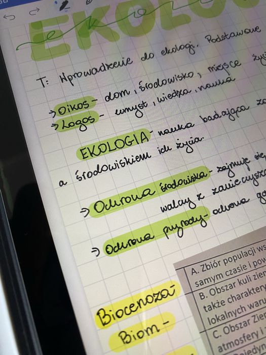 Rysik Baseus smooth writting 2 series