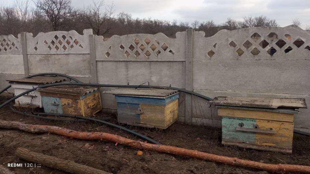 Улья Пустие вулики