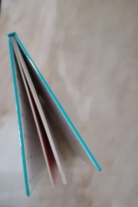 Livro semi-novo Bebé