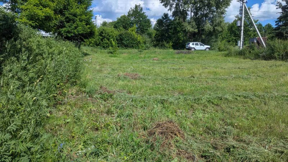 Продам земельну ділянку з виходом до ставка, с. Шмиглі, Щербанівська ОТГ
