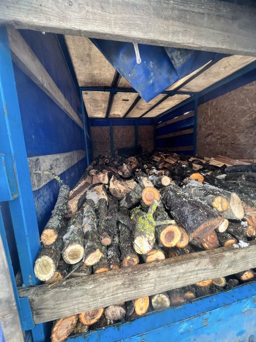 Дрова тверда та мʼяка порода рубані, метрівка