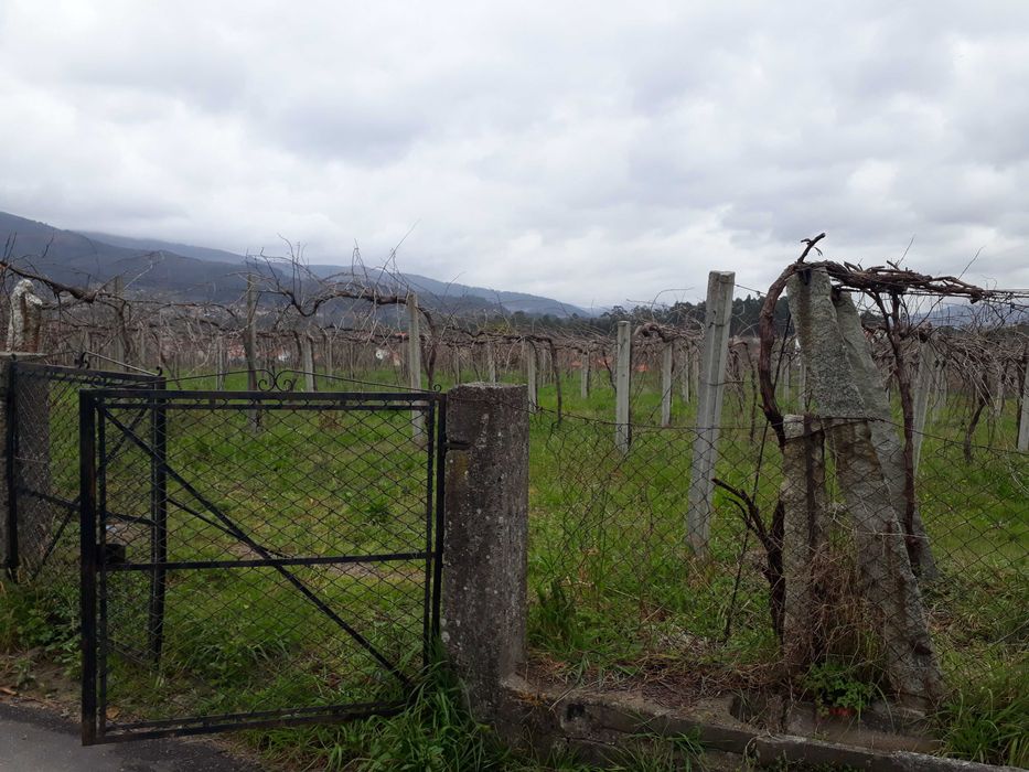 Terreno para construção