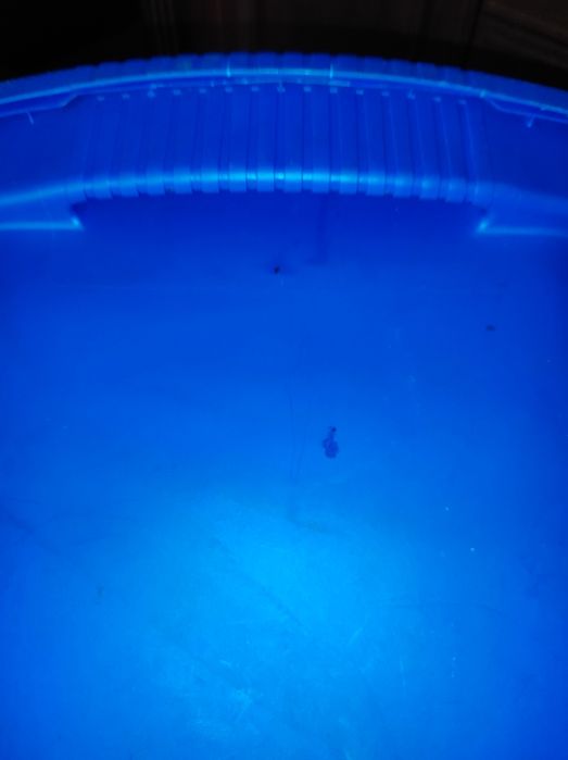 Контейнер для зберігання 70л Sterilite