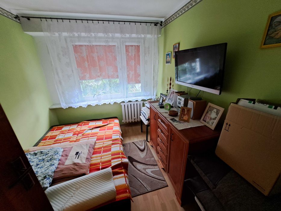 Zdjęcie 3