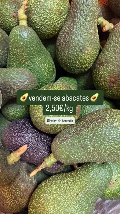 Vendem-se Abacates