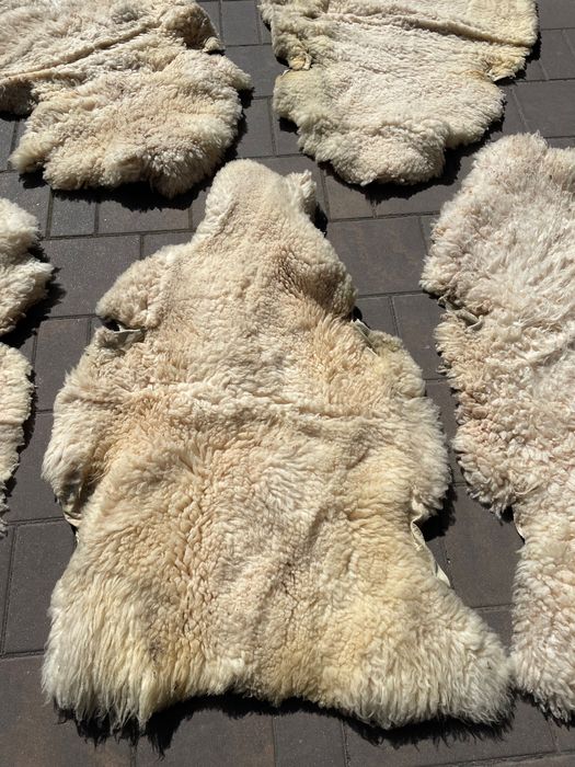 Skóry z owiec naturalne