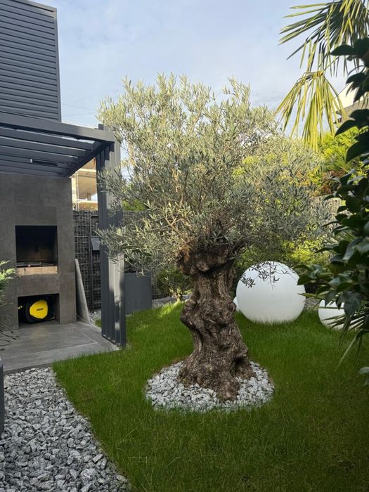 Дом по адресу Петефі Шандора пл. (площадь 130 м²) - Atlanta.ua - фото 2