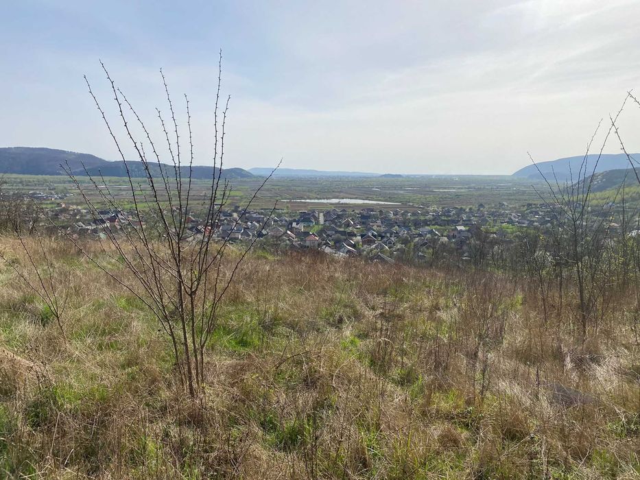 Земельна ділянка