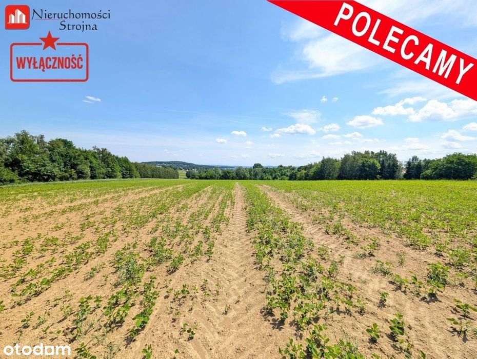 Sławkowice | 13a + możliwość dokupienia 12a