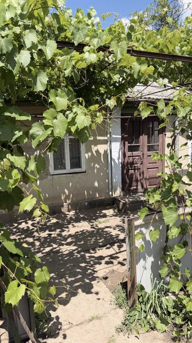 Продам дом с участком в Беляевке
