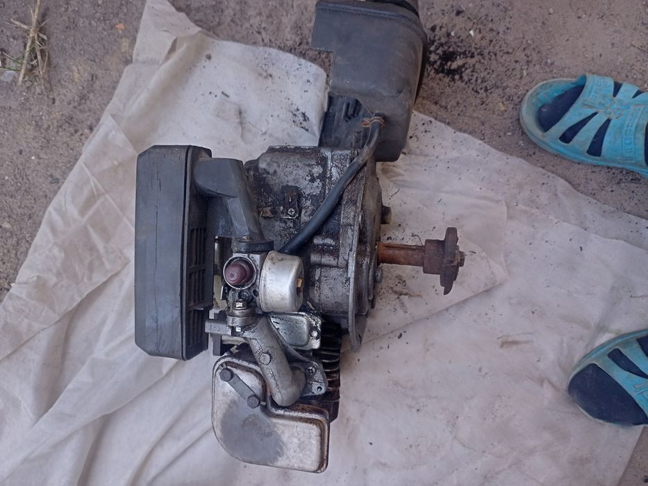 Двигун з газоно косилки