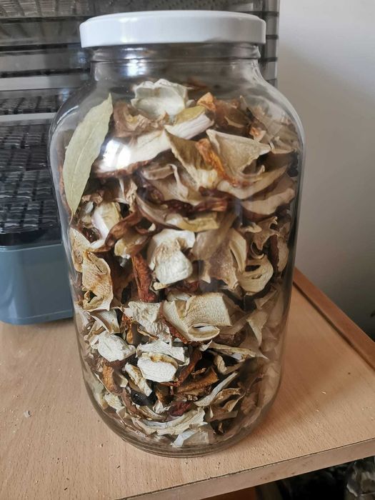 Grzyby suszone prawdziwki