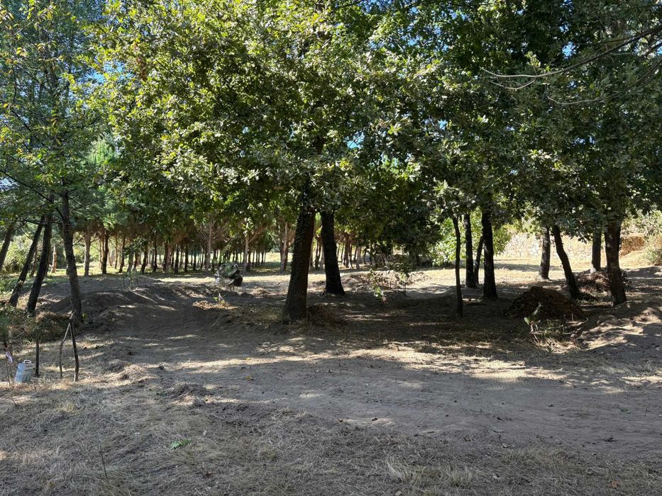 Carro Telecomandado 29cc Gasolina de Mistura 2T