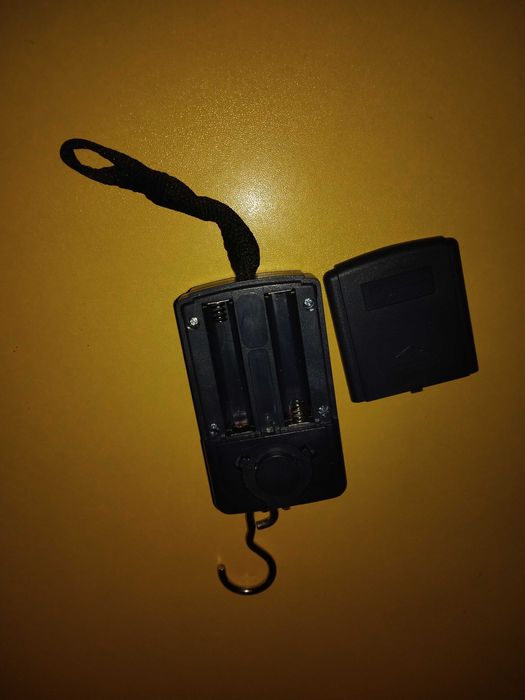 Электронные весы