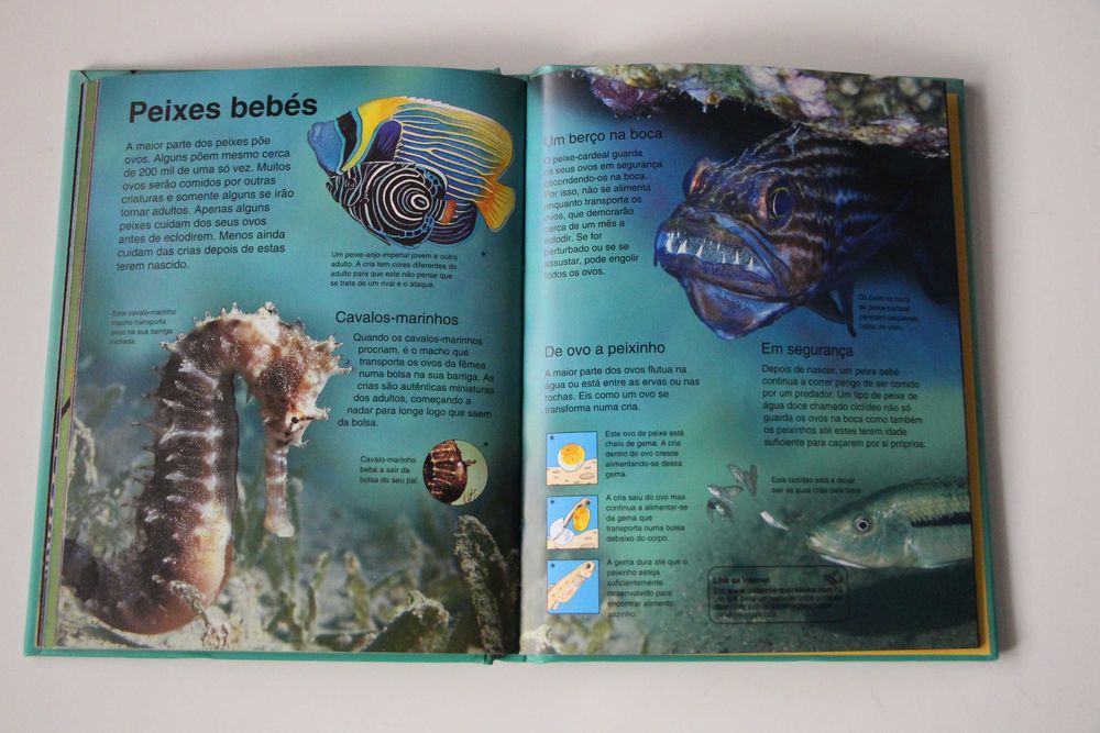 2 Livros infantis - Mini enciclopédia animais/Mini enciclopédia Espaço