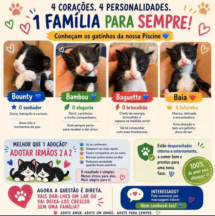 Quatros gatinhos