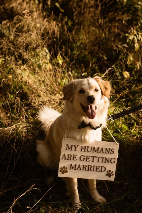 Drewniana tabliczka do zdjec na ślub