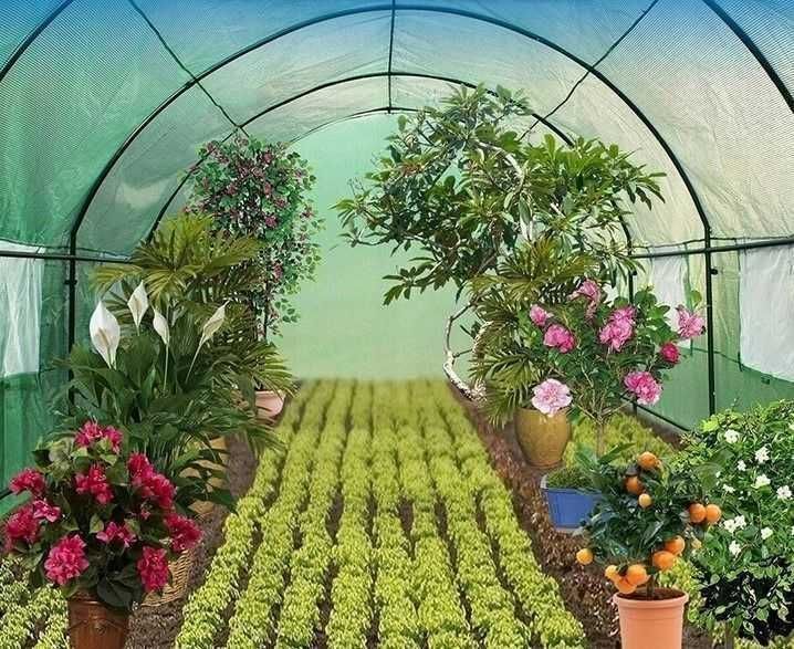 парник  , теплиця , великий вибір , теплица для огорода и сада