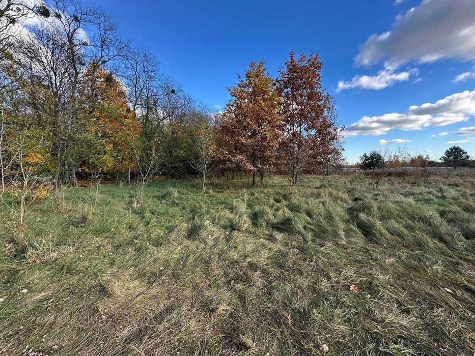 Продаж  ділянки 38,36сот.(25 сот під забудову+13,36ОСГ)Почепин.ID:732