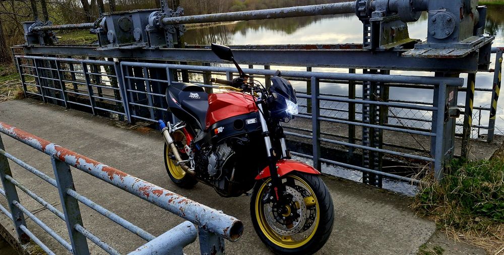 Triumph 600 naked