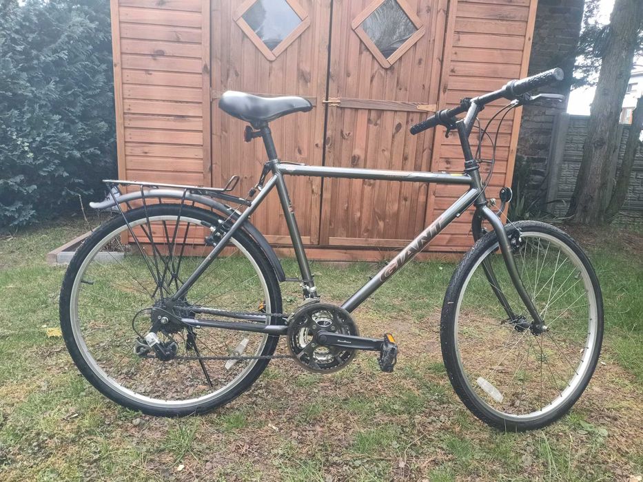 Rower męski Giant