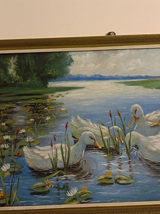 Max Koester ?.Kaczki .Obraz .Germany.