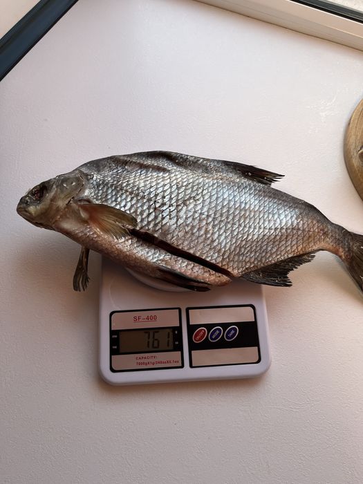 Лящ сухой посол 250грн крупный 063269О32