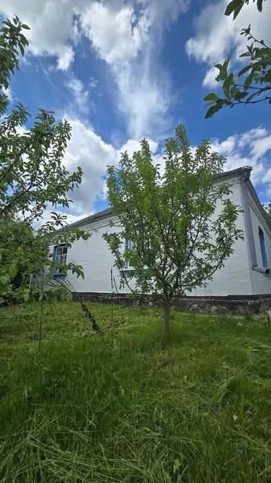 Продаж будинку с.Калинове.Киівська обл.Таращанський рн - View 4