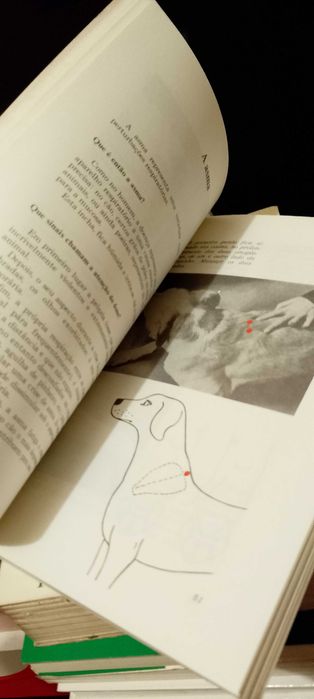 Trate o seu Cão, o seu Gato os seus Pássaros com a simples presssão