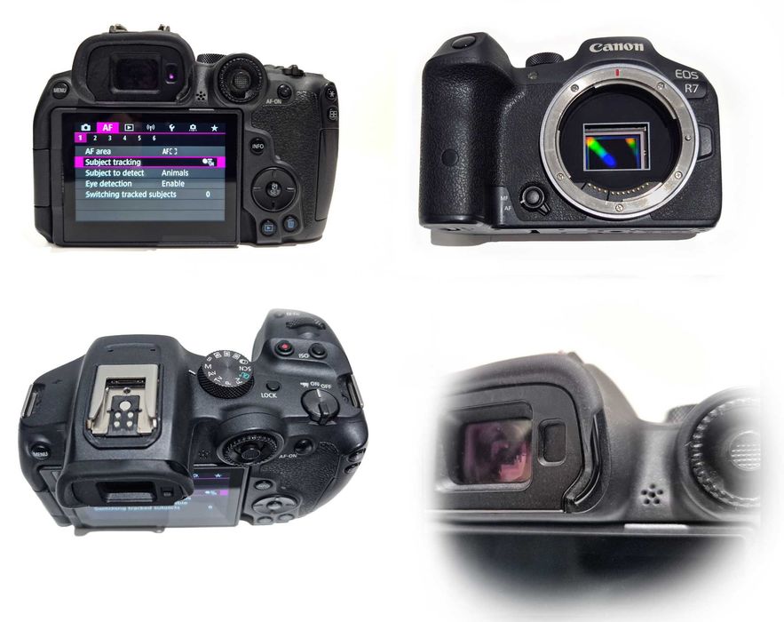 Canon R7 com Objectivas e Acessórios