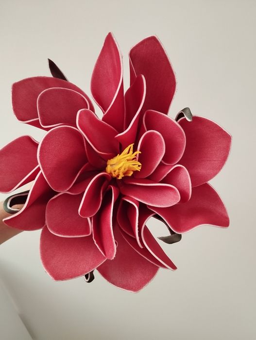 Magnolia piankowa