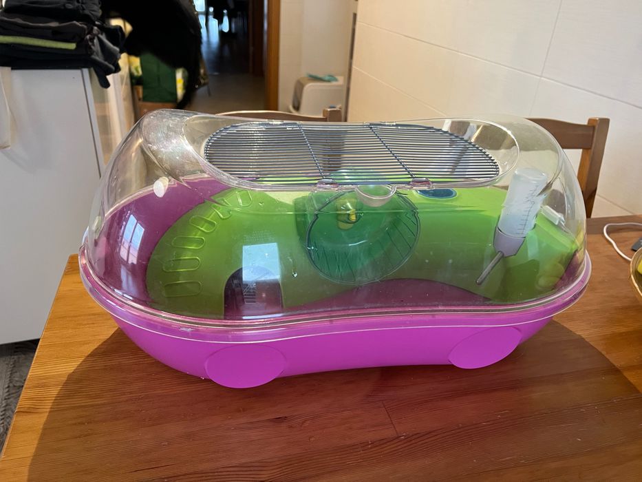 Gaiola para hamster com substrato, comida e acessórios