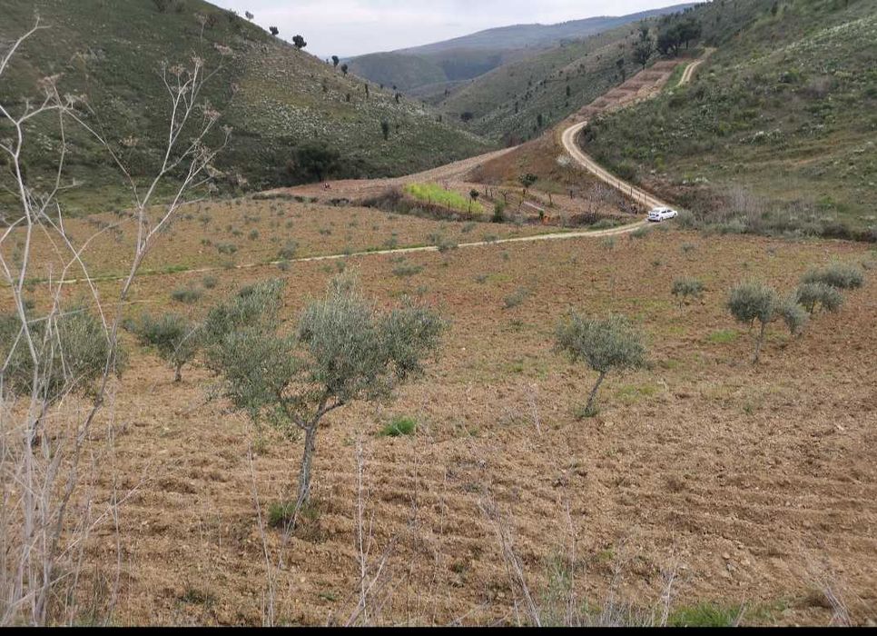 Terreno agrícola - 8,42 hectares
