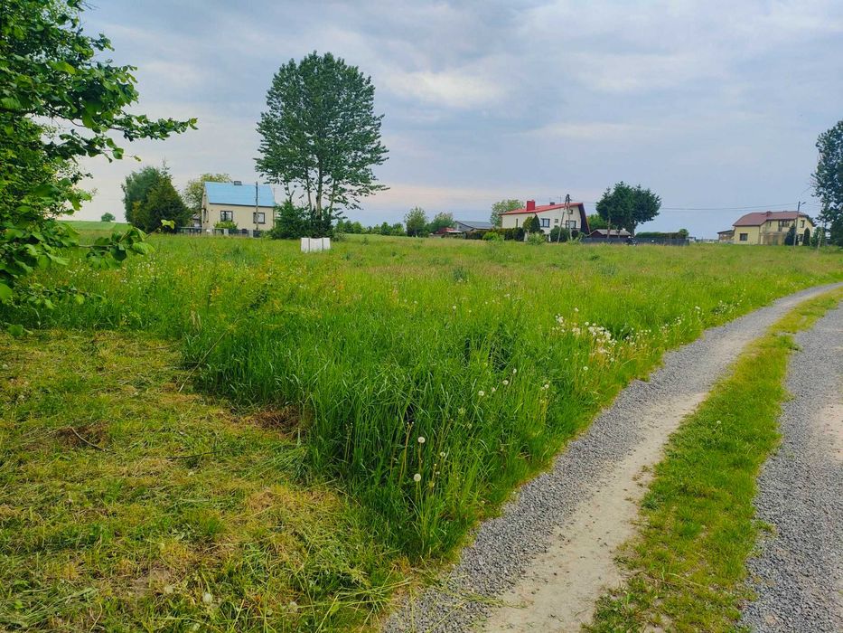 Oddam trawę do skoszenia i zebrania